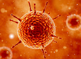 細胞STR鑒定是什么？