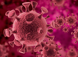 哪些情況需要做細胞STR鑒定？